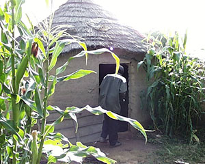 Mosquito Collections Selingue Mali